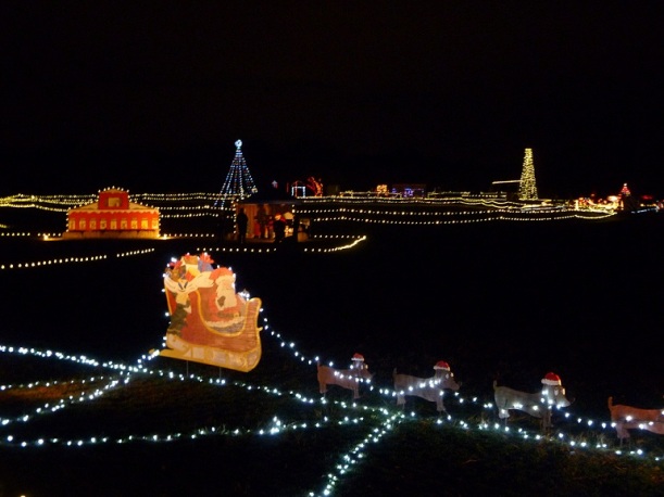 Buda Trail of Lights 2011